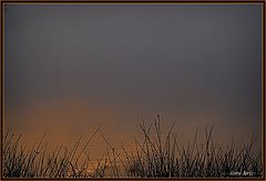 фото "Good morning photofriends"