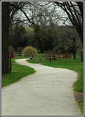 photo "Pathway to Spring"