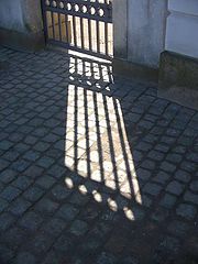 фото "Light."