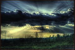 photo "***"