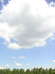 photo "***"