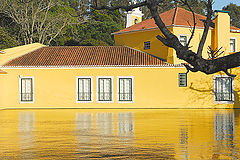 фото "Yellow house"