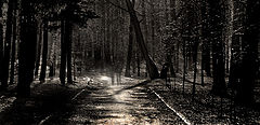 фото "Memories"