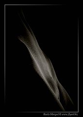 фото "Venus"