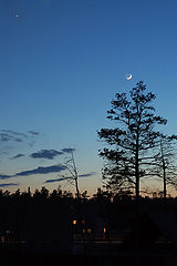 photo "first star"