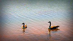 фото "Mom and Dad"