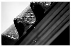 photo "***"