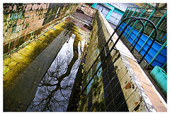photo "January in Moscow"