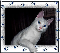 photo "Hey!"