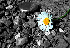 фото "SW Colour"