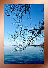 photo "***"