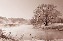 photo "****"
