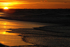 photo "...wave goodbye and..."