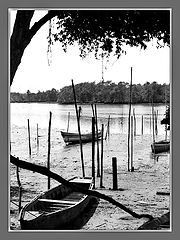 photo "Old boats"