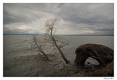 фото "Плещеево озеро"