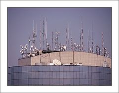фото "the ridge"