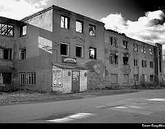 photo "Everywhere a life))"