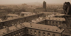 photo "***"