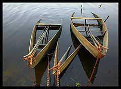 photo "Prisioners of the lake"