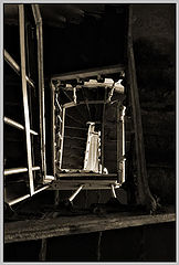 photo "***"