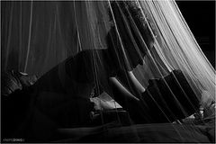 фото "together"
