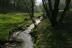 photo "Brook"
