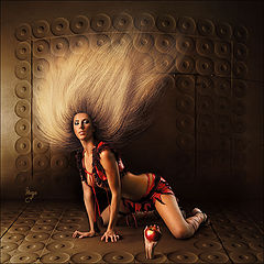 photo "Minimoys girl"