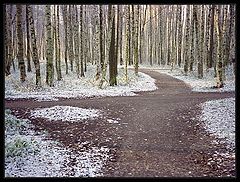 photo "Another time. Winter"