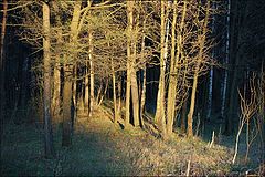 фото "Вечерняя сказка"