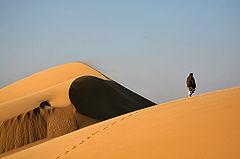фото "Dunes 4"