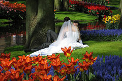photo "Wedding"