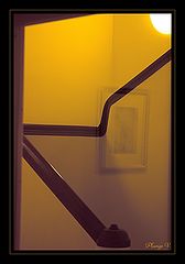 photo "***"