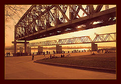 photo "City bridges"