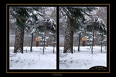 photo "Winter"
