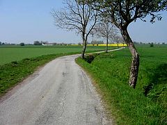 фото "Landscape."