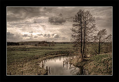 photo "***"