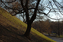 photo "***"