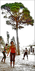 photo "Open Air"