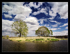 photo "To be together"