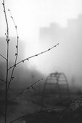 photo "***"