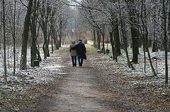 photo "Hoary with age"