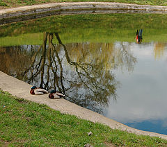 photo "***"