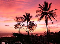 фото "Red Sky"