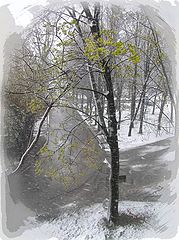 photo "***"