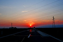 photo "On a way home"