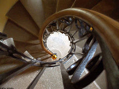 фото "L'escalier"