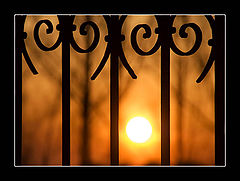 photo "Sunset"