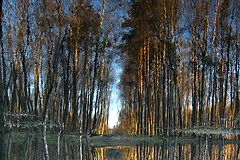 фото "Апрельская акварель"