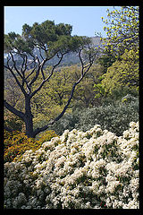 photo "Spring at the South of Crimea peninsular"