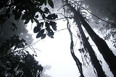 photo "+++"